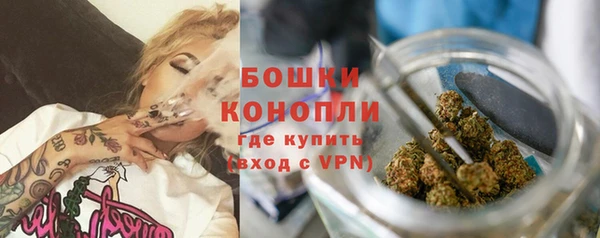 гашик Бронницы